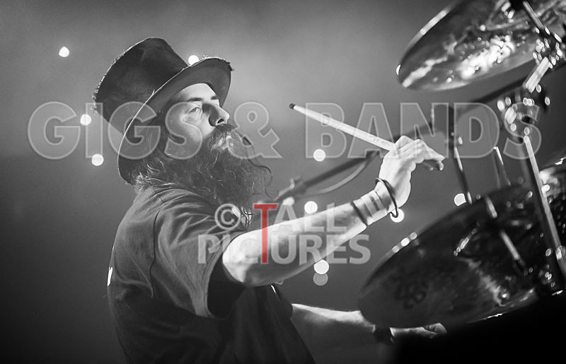 Peppered Ant Legs-178 - PEPPERED ANT LEGS