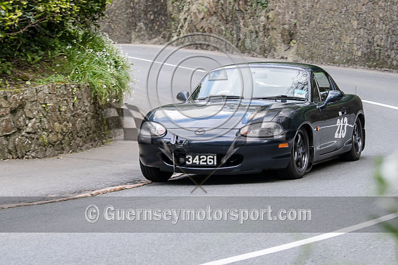 HILLCLIMB CAR_17-04-2017-95 - CARS_17-04-2017