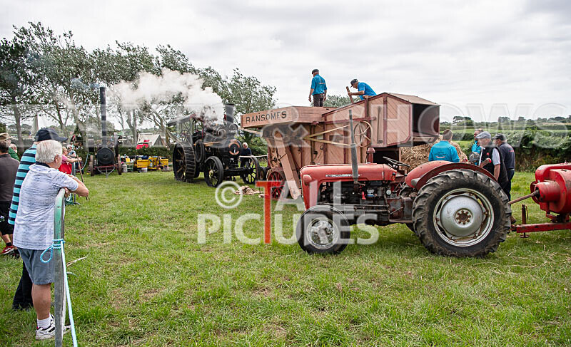 Guernsey Agricultural Show 2021-36 - GUERNSEY AGRICULTURAL SHOW 2021