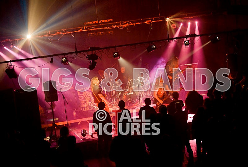 Maiden Guernsey-31 - MAIDEN GUERNSEY at RoA-2