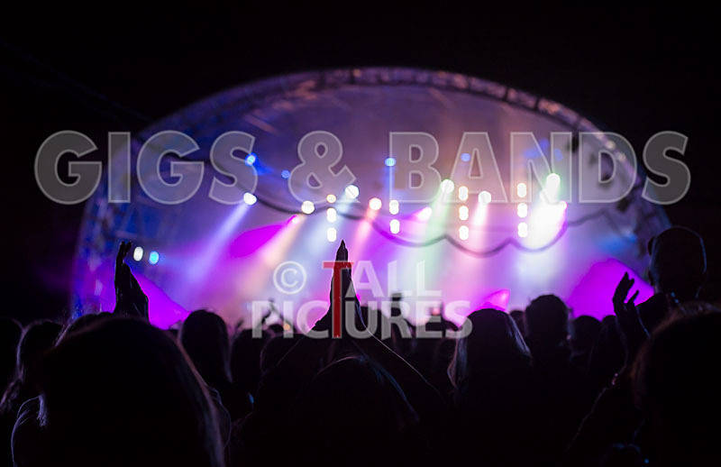 Fade to Grey-144 - FADE TO GREY