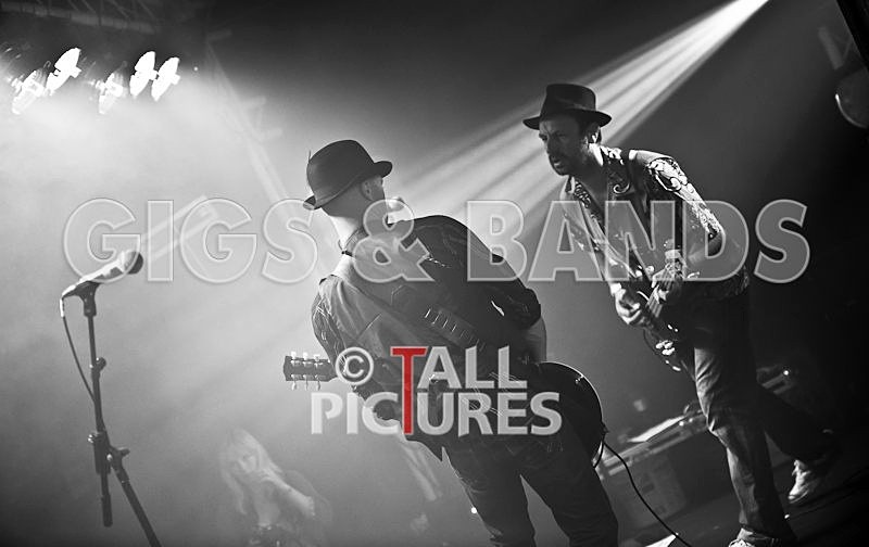 Peppered Ant Legs-62 - PEPPERED ANT LEGS