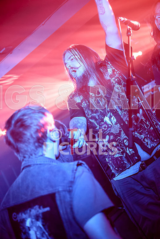 Stone Em All-268 - STONE EM ALL