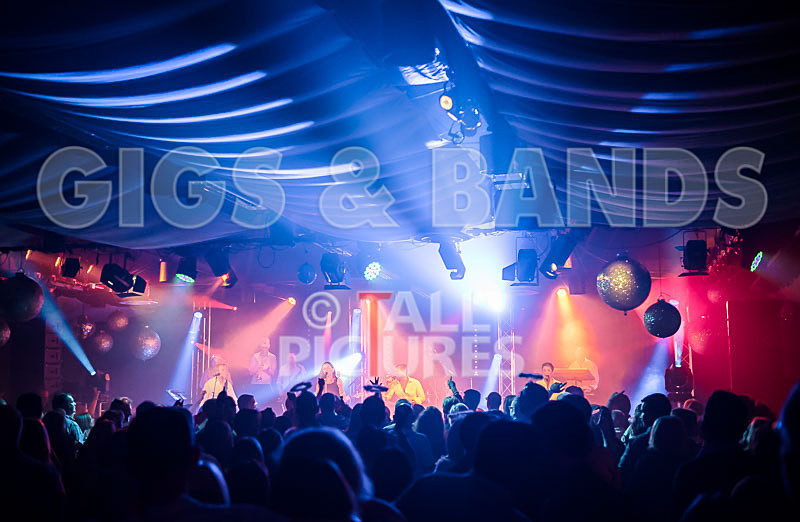 King Rat the Soul Cats-337 - KING RAT AND THE SOUL CATS