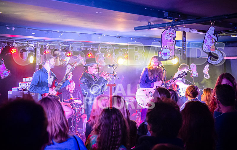 The Recks-772 - THE RECKS - THE BEAST FROM THE SEA