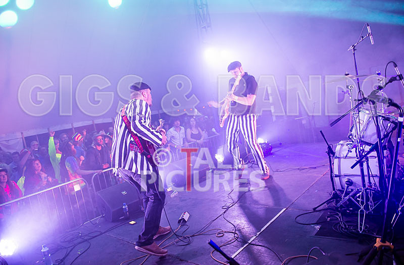 The Smooth Hounds-30 - THE SMOOTH HOUNDS