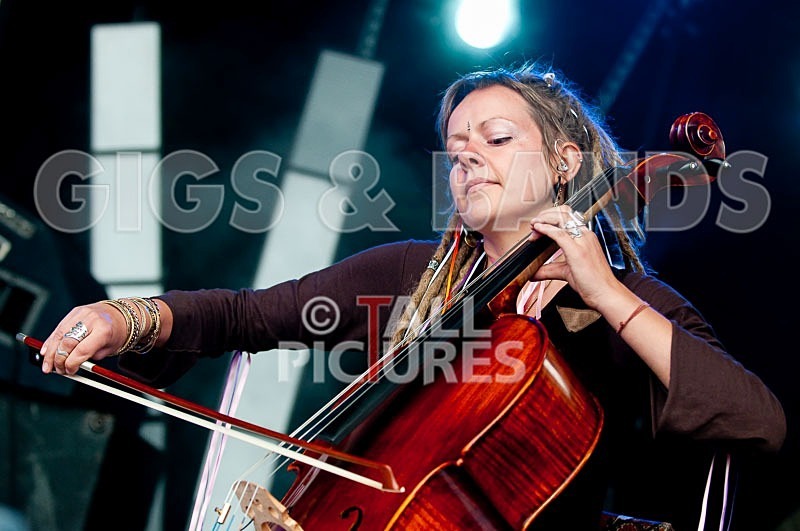 Lloyd Yates-7 - VALE EARTH FAIR 2009