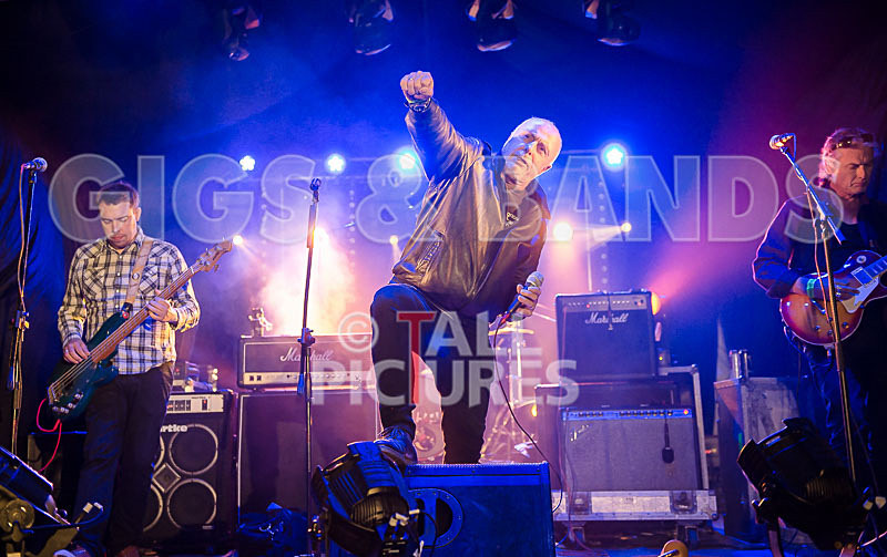 Attila the Stock Broker-29 - ATTILA THE STOKEBROKER'S BARNSTORMERS