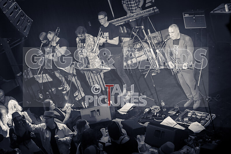 Sons of the Desert-443 - SONS OF THE DESERT