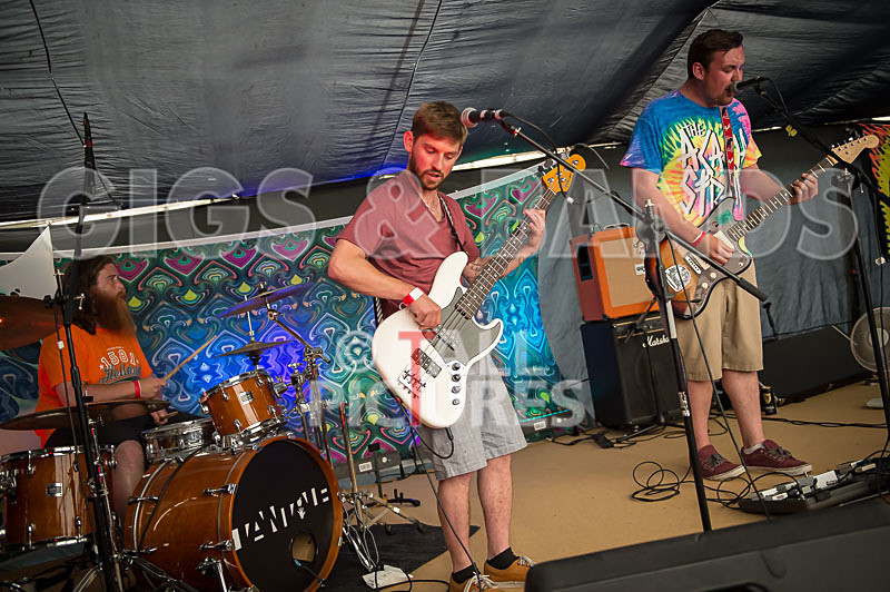 Honest Crooks-30 - HONEST CROOKS