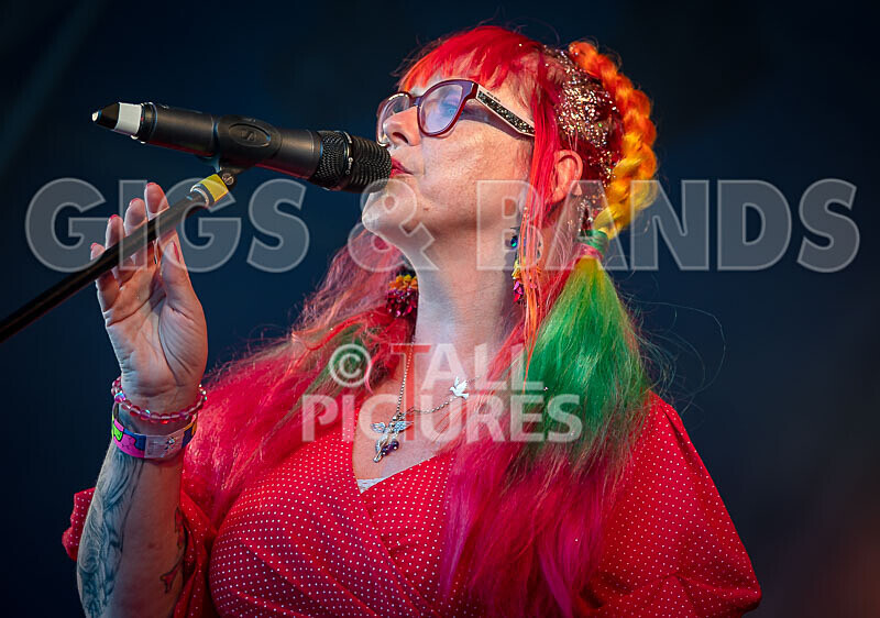 The Sacred Hearts-85 - THE SACRED HEARTS