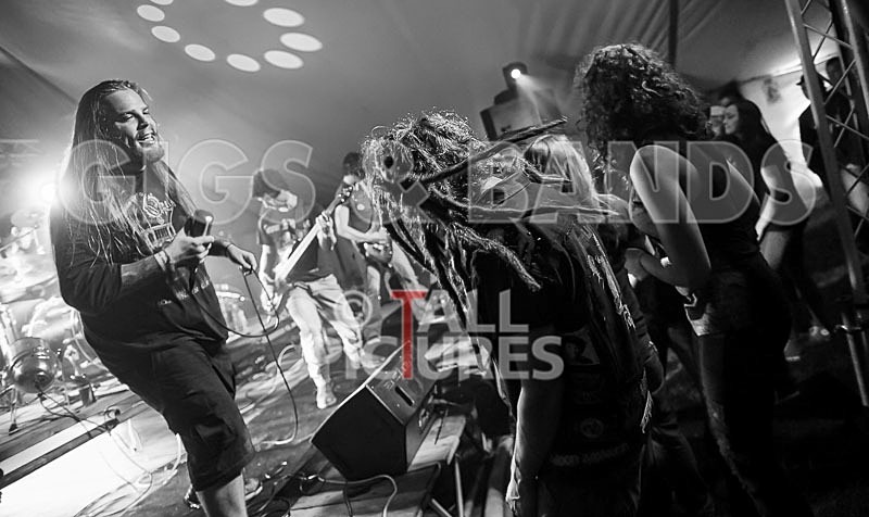 Stone Em All-73 - STONE EM ALL