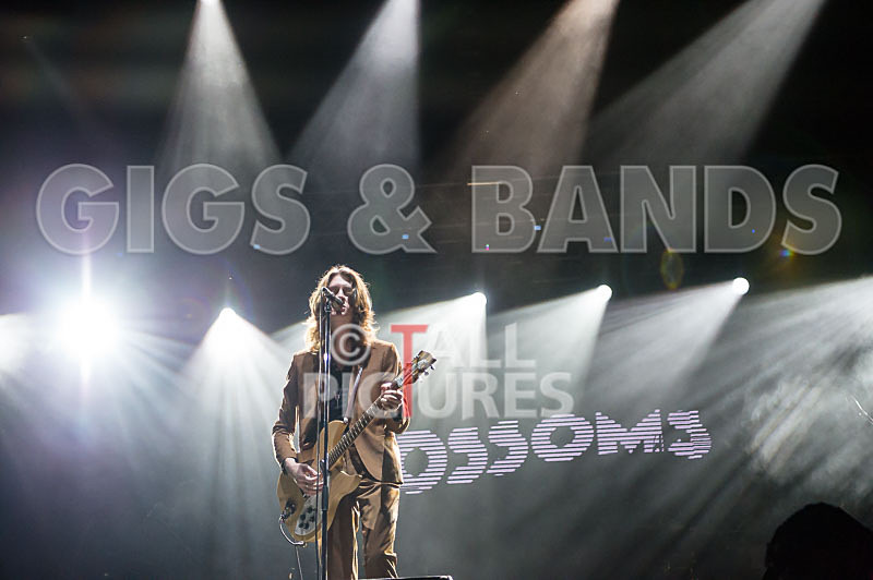 Blossoms-27 - BLOSSOMS