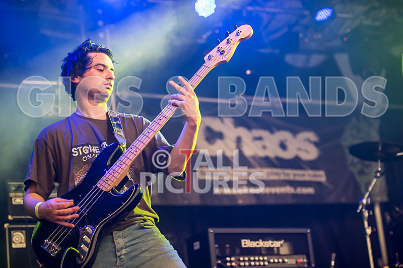 Stone Em All-223 - STONE EM ALL