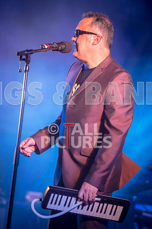 Sons of the Desert-315 - SONS OF THE DESERT