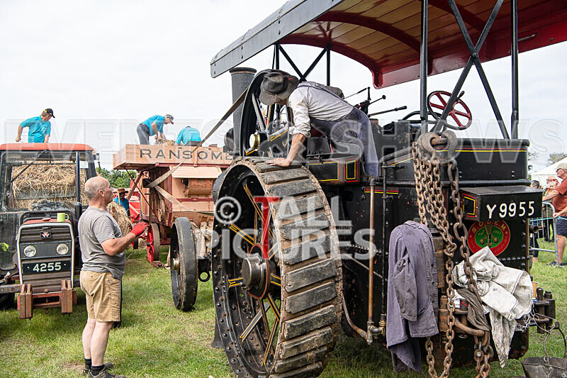 Guernsey Agricultural Show 2021-51 - GUERNSEY AGRICULTURAL SHOW 2021