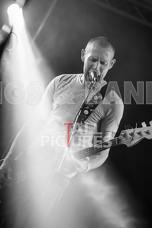 Falenizza Horsepower-83 - FALENIZZA HORSEPOWER