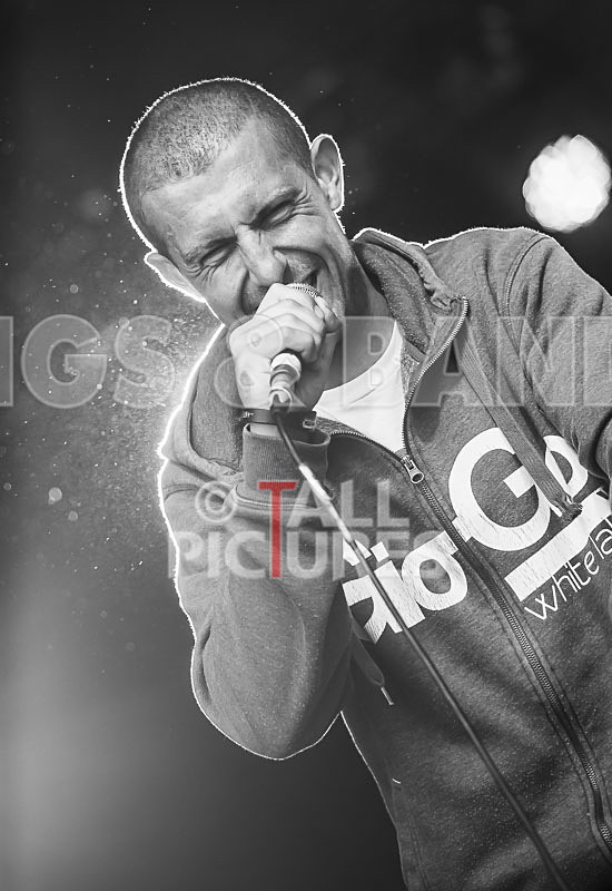 Buffalo Huddleston-409 - BUFFALO HUDDLESTON