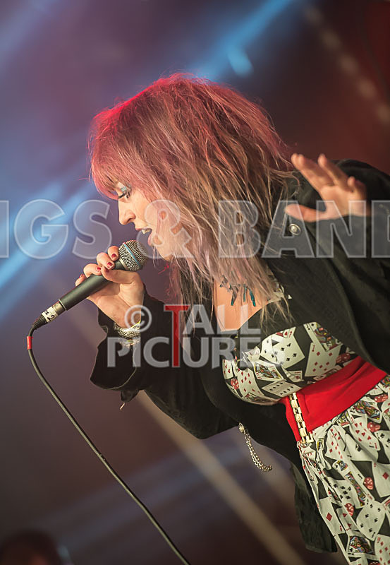 Static Alice-123 - STATIC ALICE