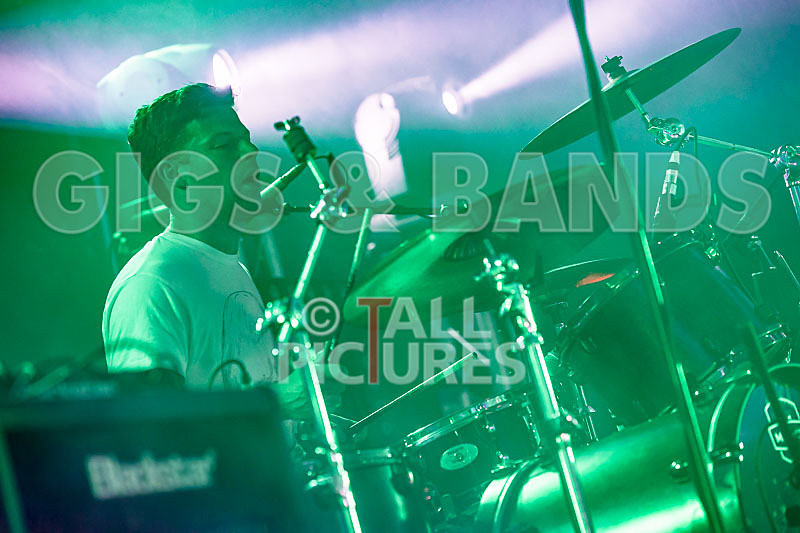 Falenizza Horsepower-88 - FALENIZZA HORSEPOWER