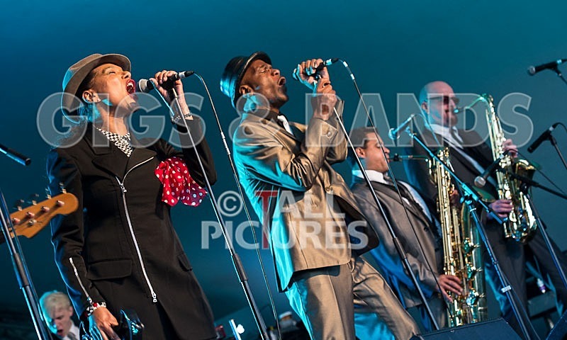 The Selecter-9 - THE SELECTER