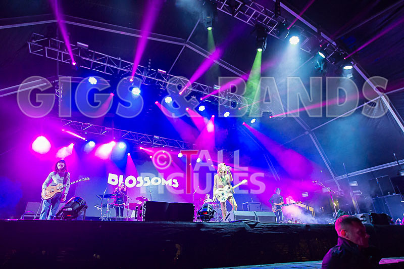 Blossoms-24 - BLOSSOMS