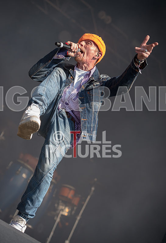 Jersey Live 2015-Stereo MCs - JERSEY LIVE 2015 - THE PRESS EDIT