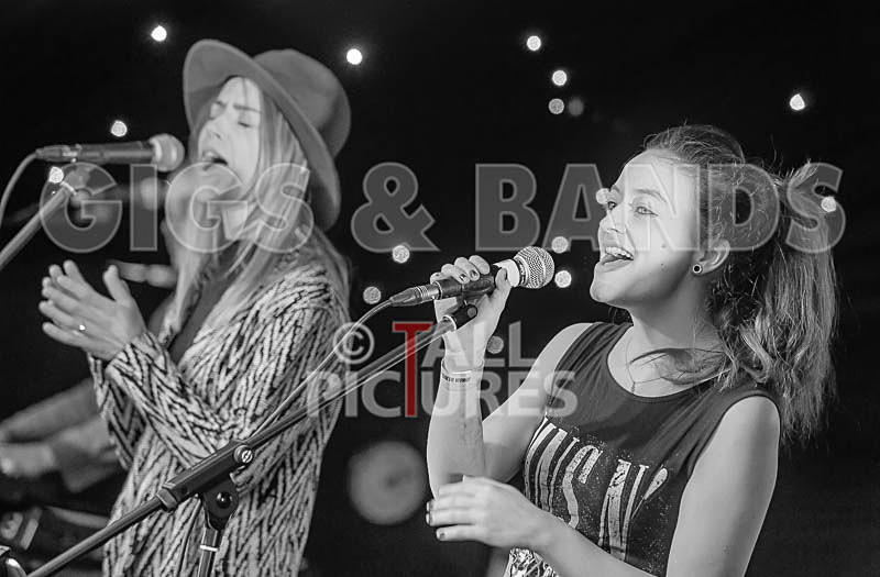 Element 6-26 - ELEMENT 6