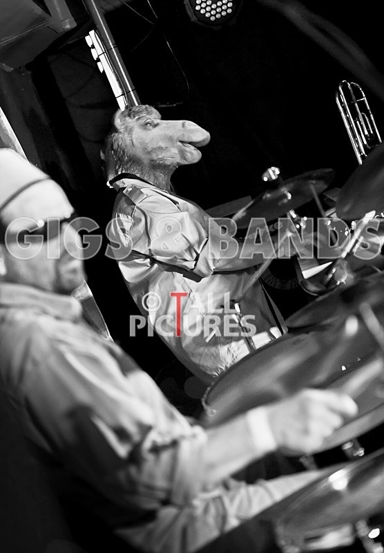 Sons of the Desert-54 - SONS OF THE DESERT