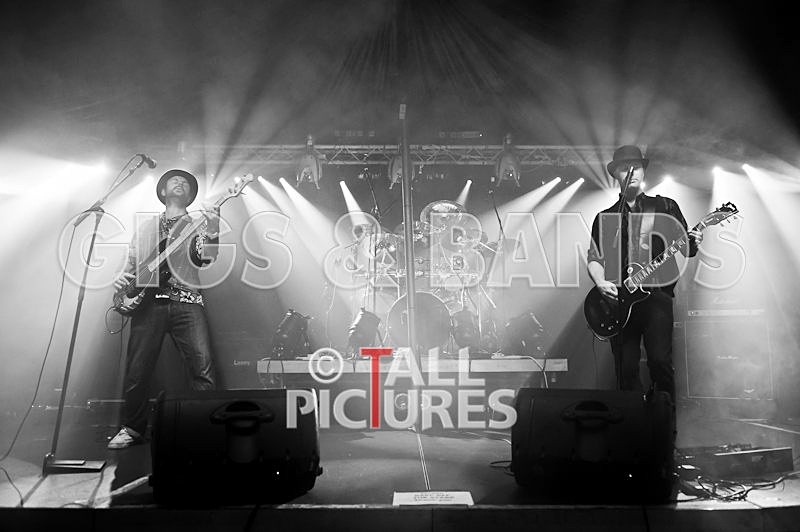 Peppered Ant Legs-70 - PEPPERED ANT LEGS