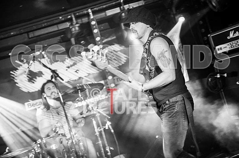 Harlequin Knights-29 - HARLEQUIN KNIGHTS