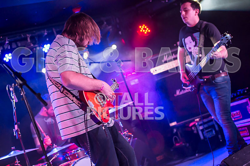 To the Woods-162 - TO THE WOODS