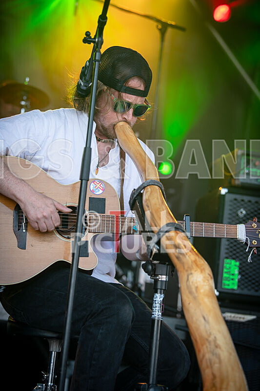 Buffalo Huddleston-721 - BUFFALO HUDDLESTON