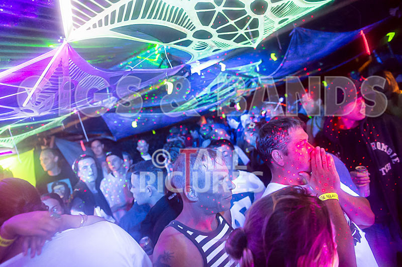 Vale Earth Fair 2015_Atmosphere-8 - VALE EARTH FAIR 2015_THE ATMOSPHERE