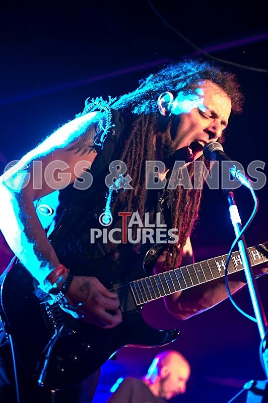 Breed77-29 - BREED77