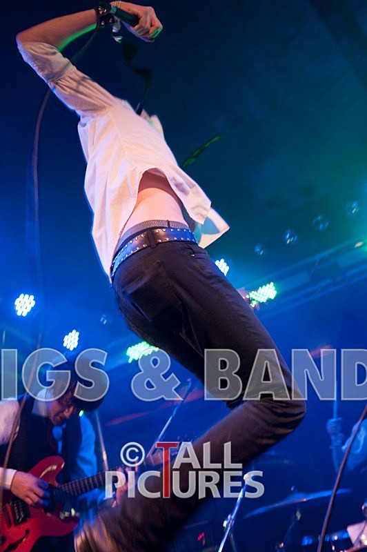 The Valentines-15 - THE VALENTINES