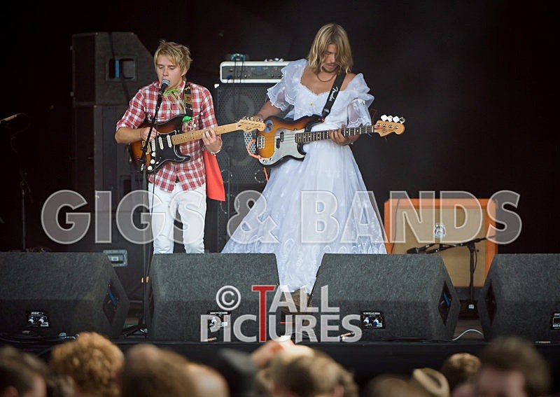 The Author-3 - THE AUTHOR