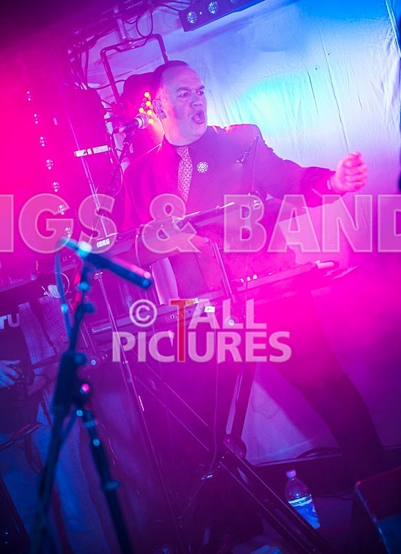 The Pulse-55 - THE PULSE