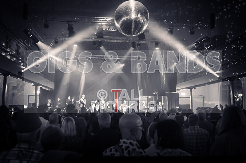 King Rat  the Soul Cats-437 - KING RAT & THE SOUL CATS