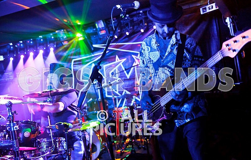 Peppered Ant Legs-118 - PEPPERED ANT LEGS