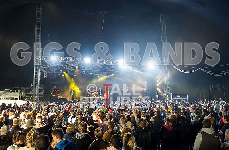 The Charlatans-50 - THE CHARLATANS