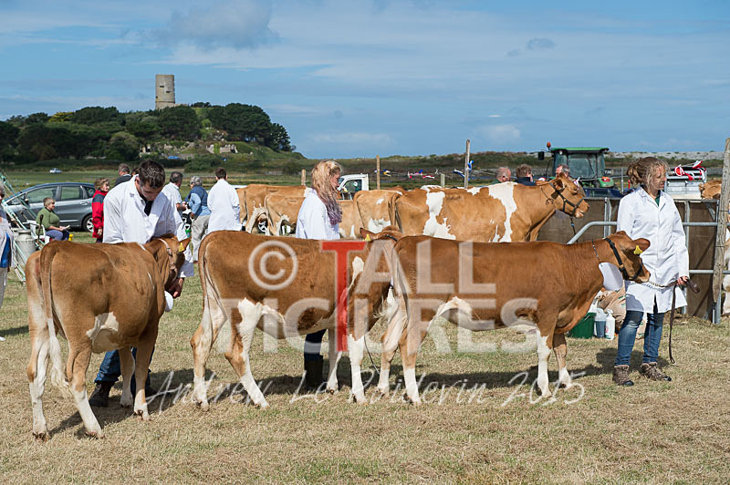 West Show_2014-7 - THE WEST SHOW 2014