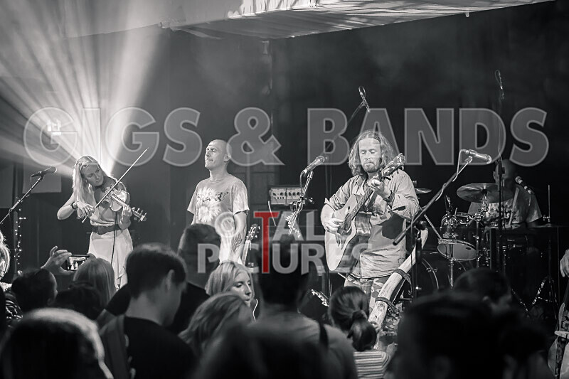 Buffalo Huddleston-618 - BUFFALO HUDDLESTON