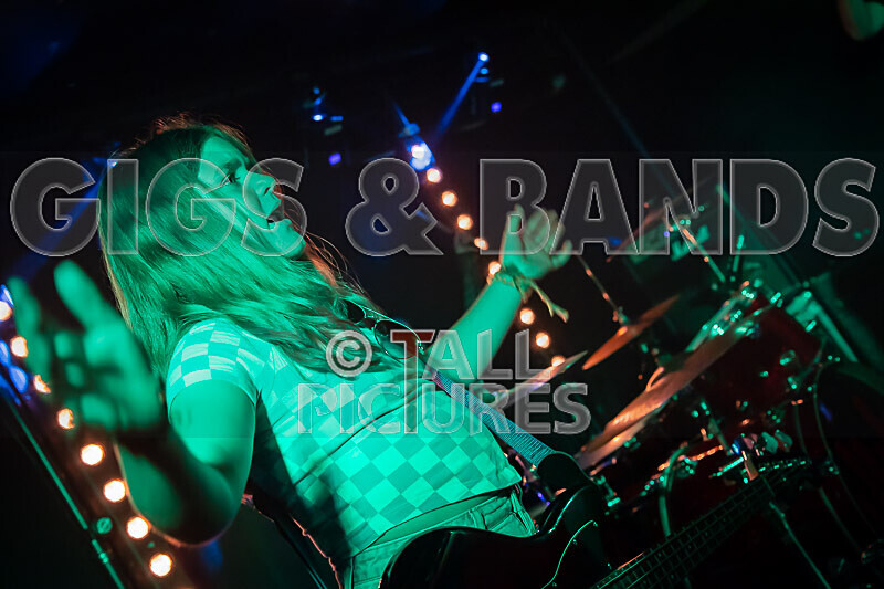 The Diehearts-24 - THE DIEHEARTS