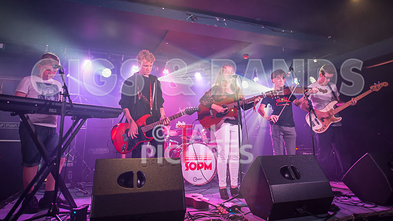 Lady and the Tramps-2 - LADY AND THE TRAMPS