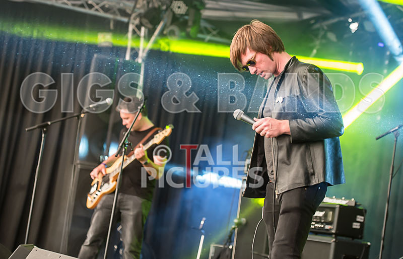 The Cryptics-43 - THE CRYPTICS