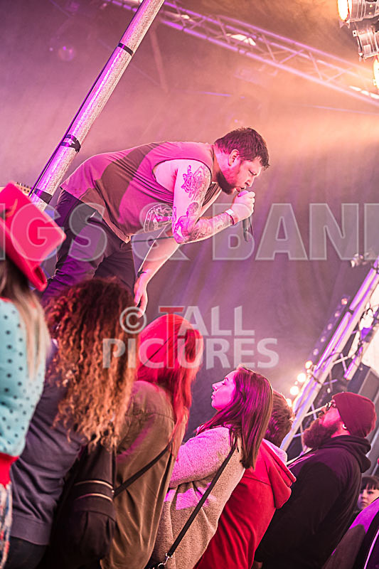 Granite Wolf-21 - GRANITE WOLF