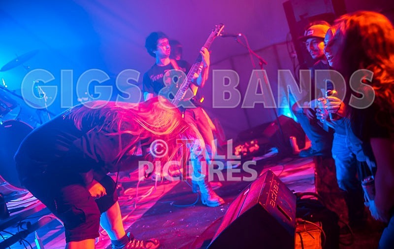 Stone Em All-61 - STONE EM ALL