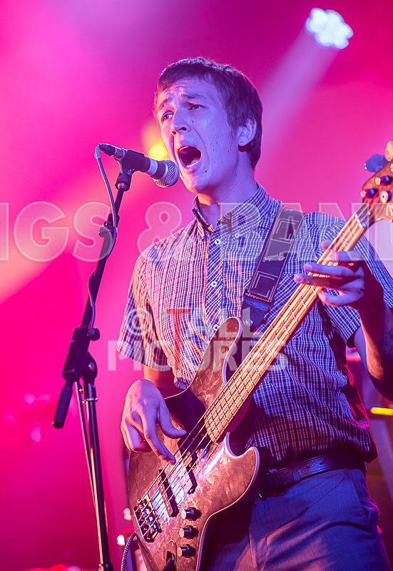 The Delegators-2 - THE DELEGATORS