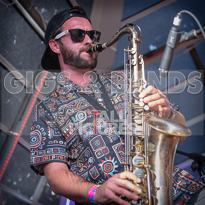 Pam Bindi-12 - PAM BINDI